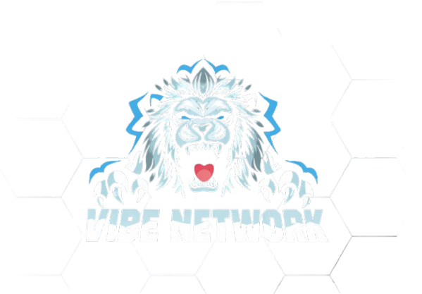 VibeNetwork Logo
